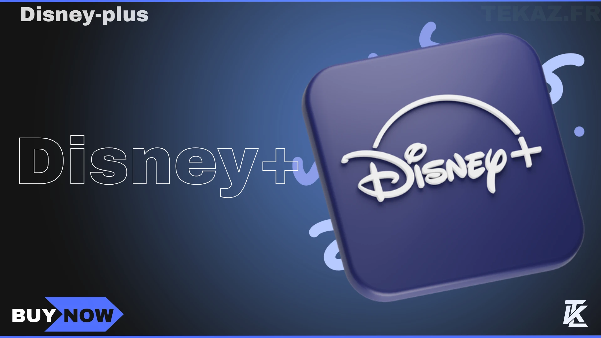 Disney+ Account