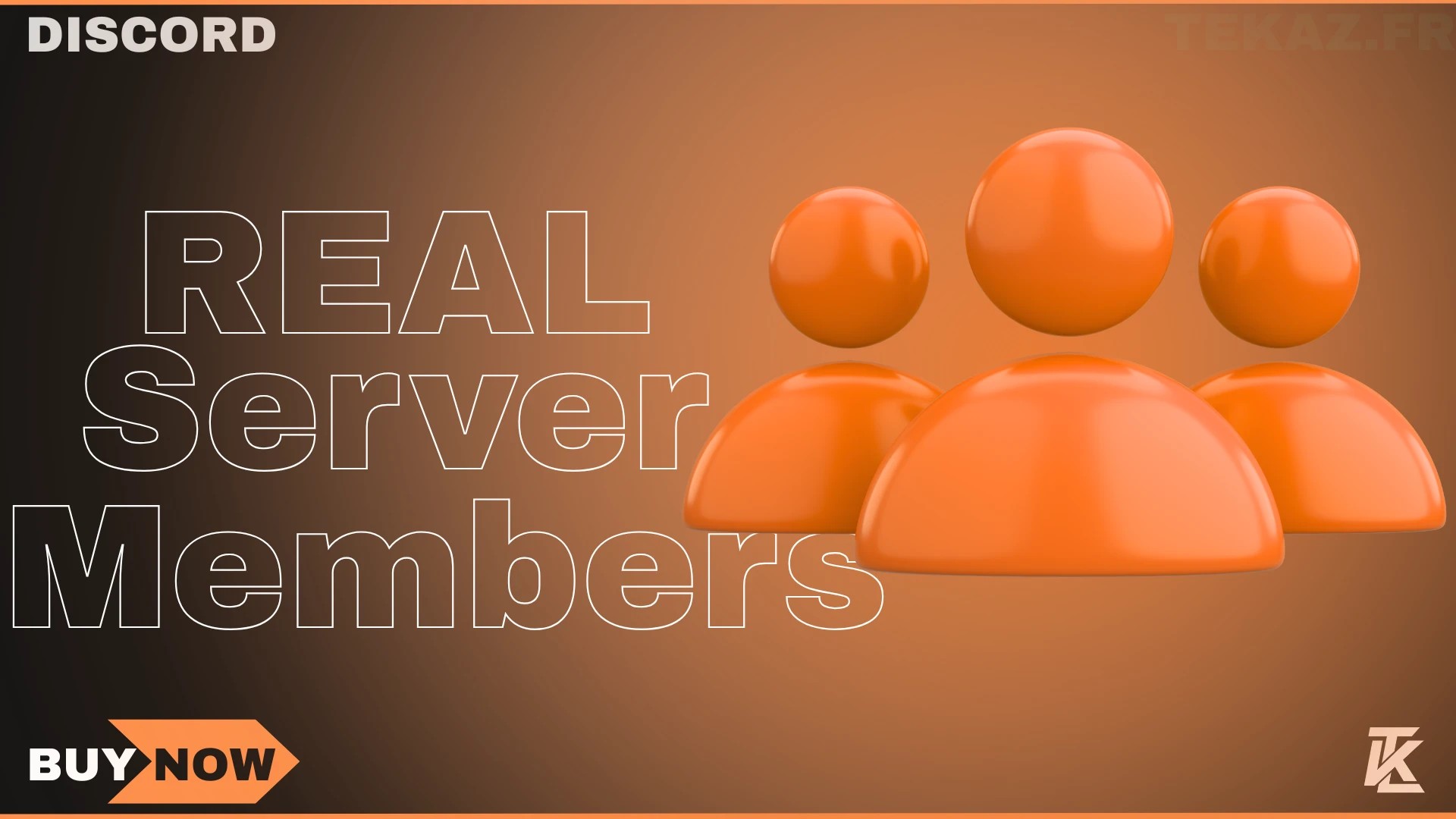 Discord Real Server Members [500, 1000, etc]