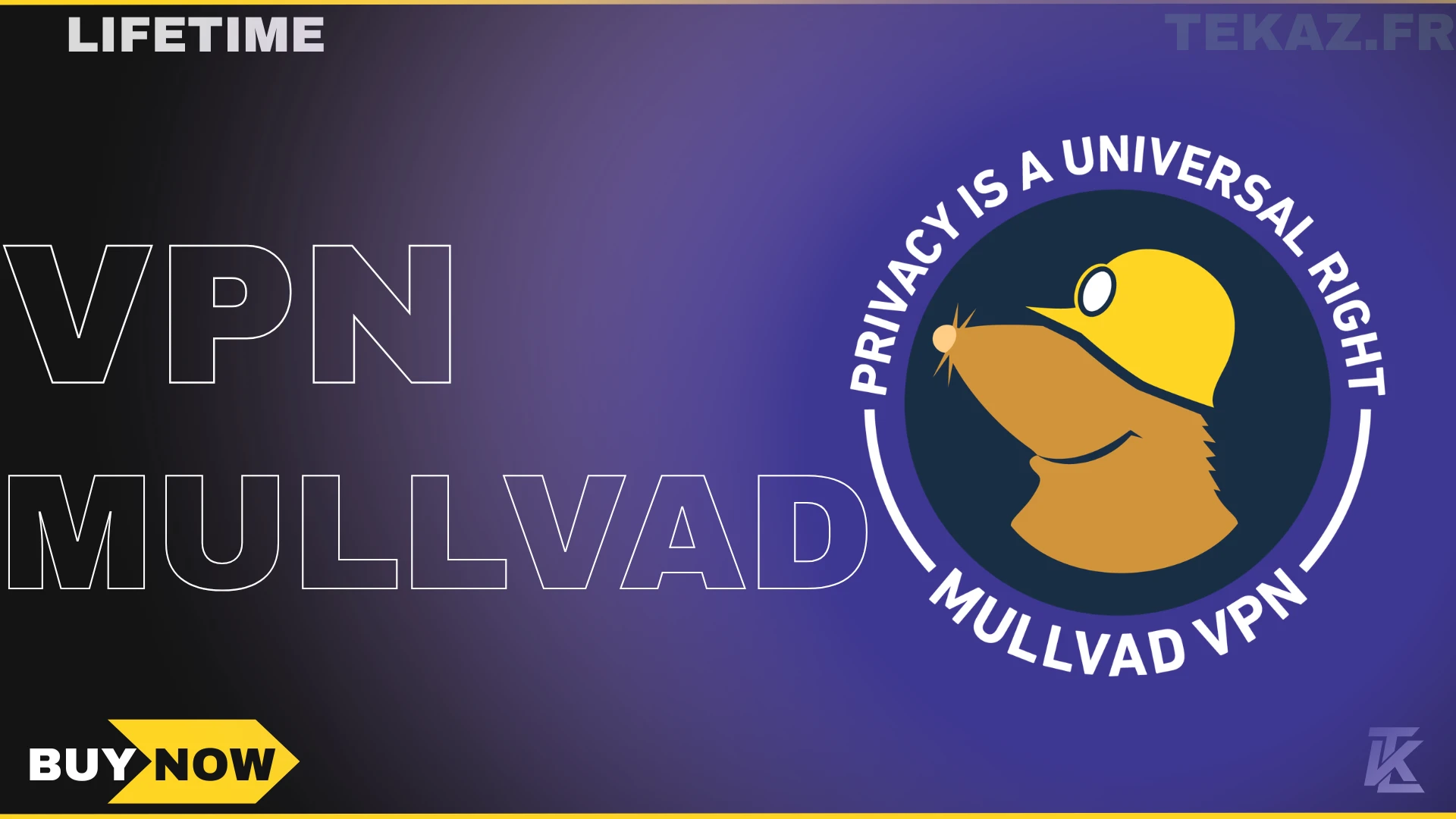 Mullvad VPN Lifetime